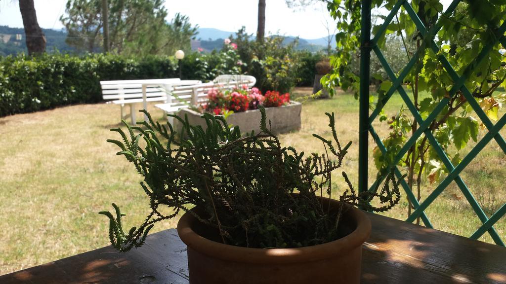 Agriturismo Il Catrino Ponteginori Екстер'єр фото
