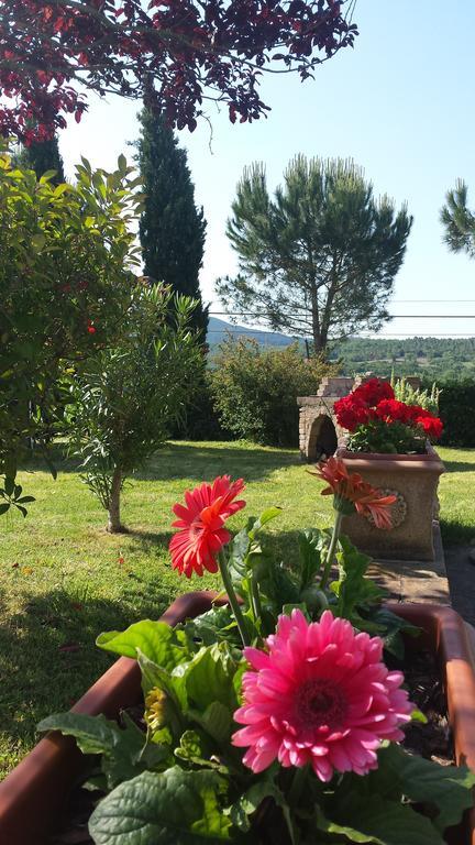 Agriturismo Il Catrino Ponteginori Екстер'єр фото