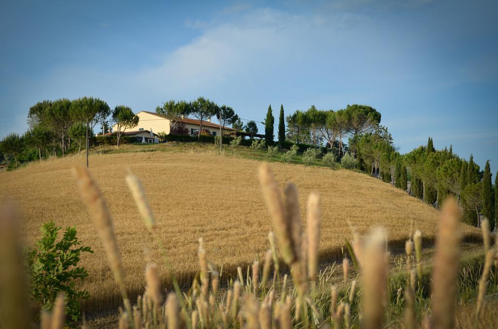 Agriturismo Il Catrino Ponteginori Екстер'єр фото