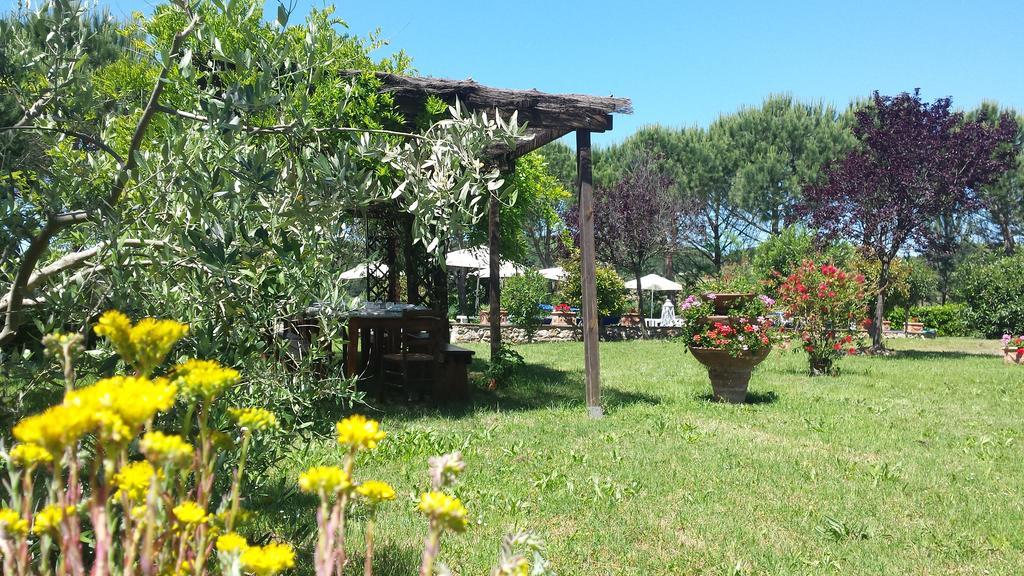 Agriturismo Il Catrino Ponteginori Екстер'єр фото