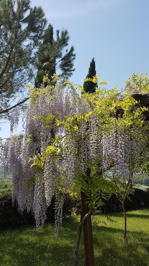 Agriturismo Il Catrino Ponteginori Екстер'єр фото