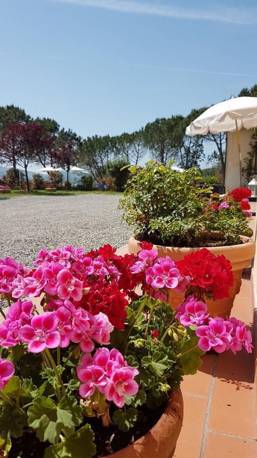 Agriturismo Il Catrino Ponteginori Екстер'єр фото