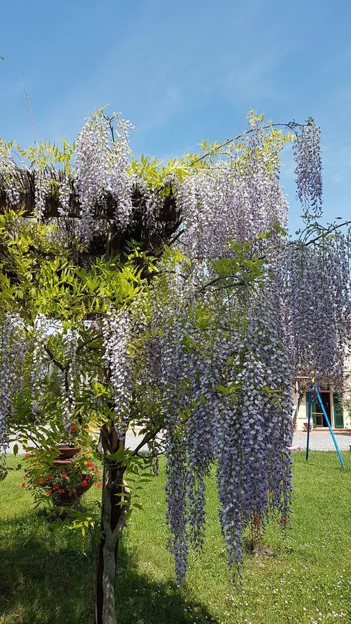 Agriturismo Il Catrino Ponteginori Екстер'єр фото