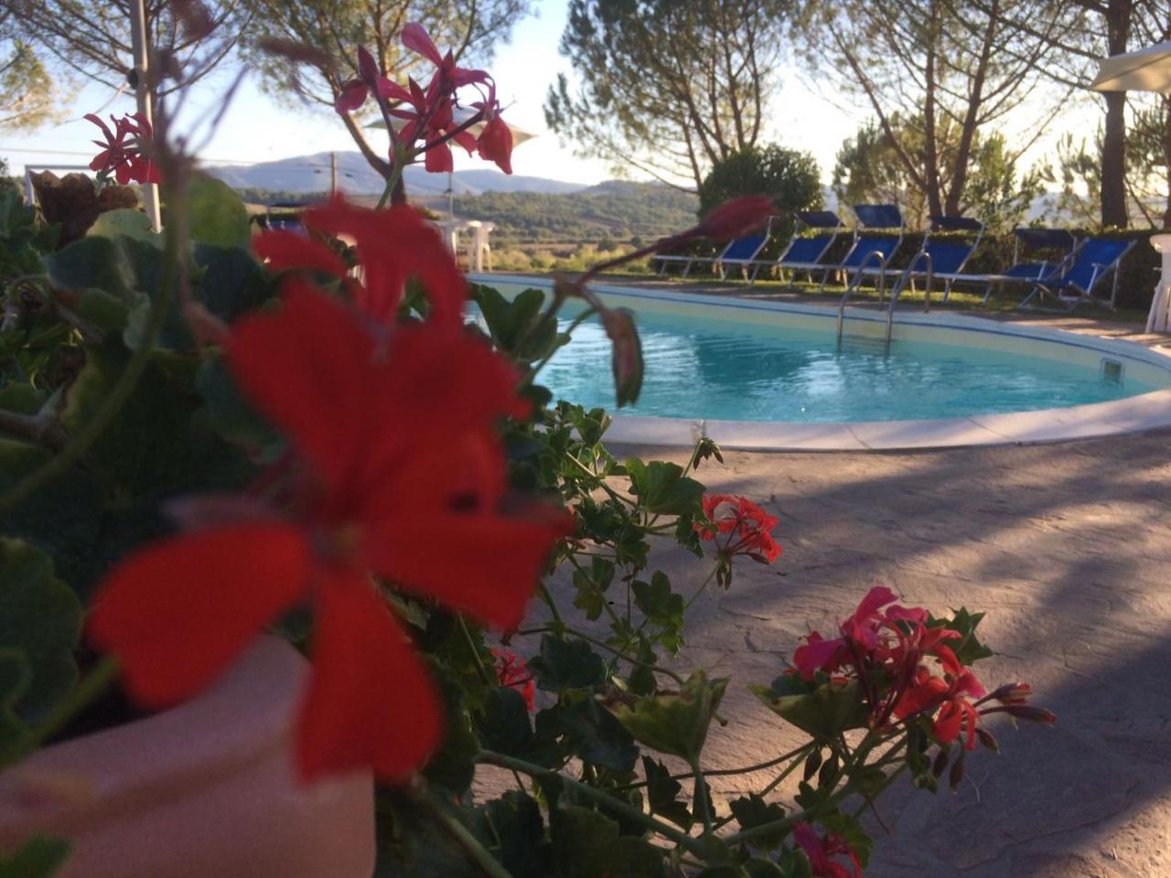 Agriturismo Il Catrino Ponteginori Екстер'єр фото